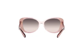 Bagside Coach C6183 (HC8322 - 5656U8)