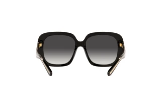 Bagside Coach C6185 (HC8323U - 50028G)