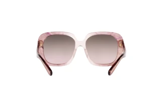 Bagside Coach C6185 (HC8323U - 5656U8)