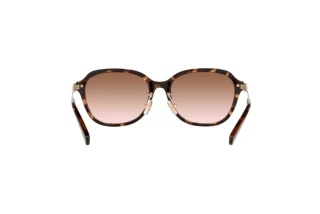 Bagside Coach C6199 (HC8332D - 512013)