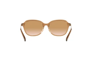 Bagside Coach C6199 (HC8332D - 565413)