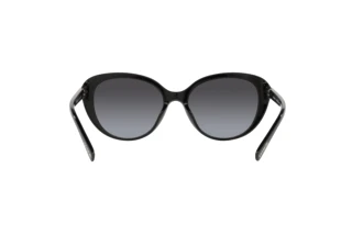 Bagside Coach CD479 (HC8348U - 50028G)