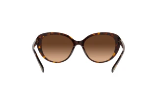 Bagside Coach CD479 (HC8348U - 512074)