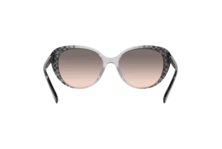 Bagside Coach CD479 (HC8348U - 57103B)