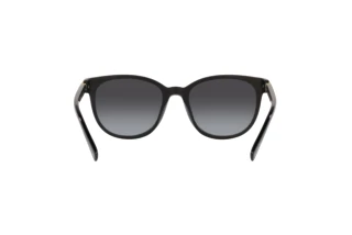 Bagside Coach CD478 (HC8350U - 50028G)