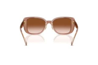 Bagside Coach CD472 (HC8352 - 577913)