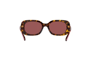 Bagside Coach CD471 (HC8358U - 512069)