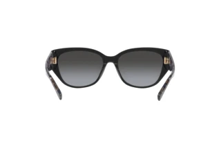 Bagside Coach CH563 (HC8362U - 50028G)