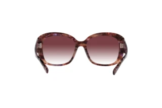 Bagside Coach CH564 (HC8363U - 57398H)