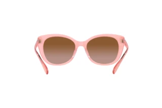 Bagside Coach CH566 (HC8365U - 574313)