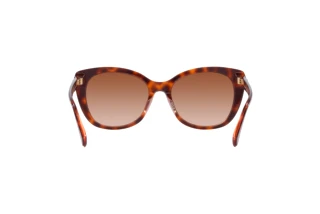 Bagside Coach CH566 (HC8365U - 574413)