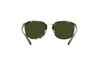 Bagside Coach CH577 (HC8366 - 575571)