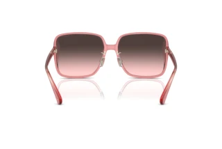 Bagside Coach CH572 (HC8368D - 580046)