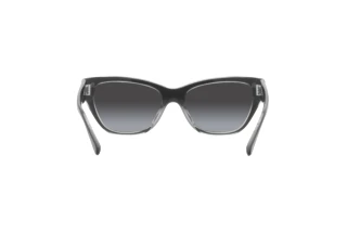 Bagside Coach CH570 (HC8370U - 57458G)