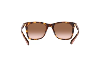 Bagside Coach CH561 (HC8374U - 512013)