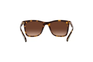 Bagside Coach CH561 (HC8374U - 5120T5)