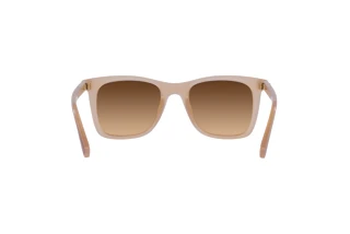 Bagside Coach CH561 (HC8374U - 574774)