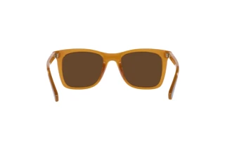 Bagside Coach CH561 (HC8374U - 57483G)