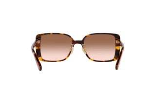 Bagside Coach CH562 (HC8375 - 512013)