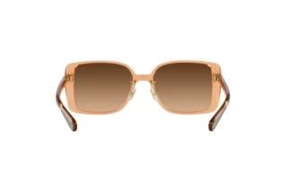 Bagside Coach CH562 (HC8375 - 574974)