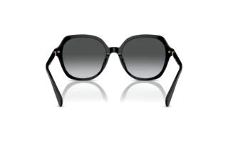 Bagside Coach CL925 (HC8377U - 5002T3)