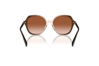 Bagside Coach CL925 (HC8377U - 540013)