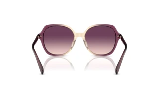 Bagside Coach CL925 (HC8377U - 57737W)