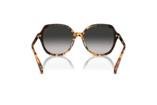 Bagside Coach CL925 (HC8377U - 577613)