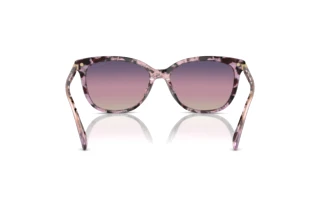 Bagside Coach CL926 (HC8378U - 5777U6)