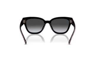 Bagside Coach CL920 (HC8379U - 5002T3)