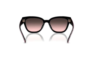 Bagside Coach CL920 (HC8379U - 578346)