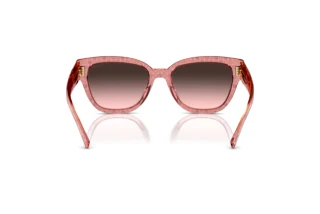 Bagside Coach CL920 (HC8379U - 583646)