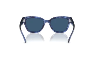 Bagside Coach CL920 (HC8379U - 583755)