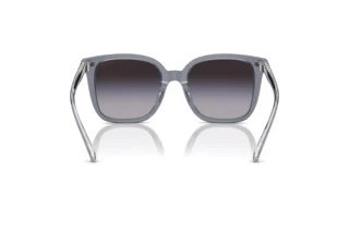 Bagside Coach CL918 (HC8381U - 57808G)