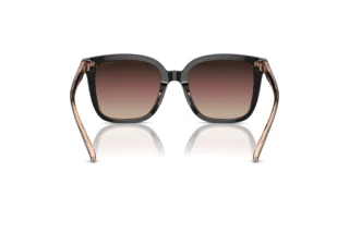 Bagside Coach CL918 (HC8381U - 5781E2)