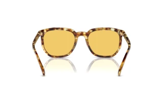 Bagside Coach CL911 (HC8384U - 504585)