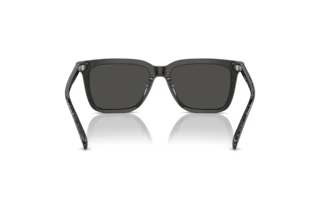 Bagside Coach CL910 (HC8385U - 579387)