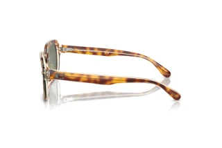 Sidevisning Coach CL914 (HC8388U - 57563H)