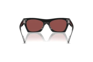 Bagside Coach CL917 (HC8389U - 572875)