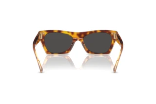 Bagside Coach CL917 (HC8389U - 575687)