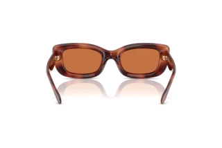 Bagside Coach CR610 (HC8390U - 577473)