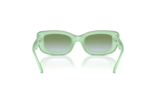 Bagside Coach CR610 (HC8390U - 5807I7)