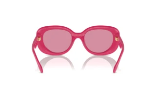 Bagside Coach CR609 (HC8391U - 58069L)