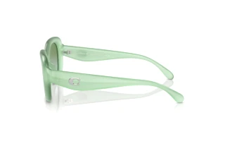 Sidevisning Coach CR609 (HC8391U - 5807I7)