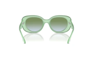 Bagside Coach CR609 (HC8391U - 5807I7)