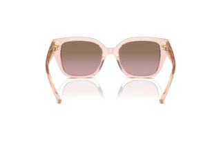 Bagside Coach CR611 (HC8392U - 566814)