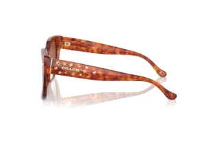 Sidevisning Coach CR611 (HC8392U - 577413)