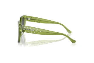 Sidevisning Coach CR611 (HC8392U - 581087)