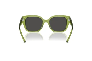 Bagside Coach CR611 (HC8392U - 581087)