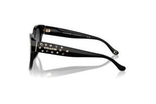 Sidevisning Coach CR612 (HC8393U - 50023C)